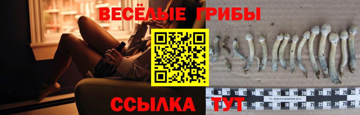 Псилоцибиновые грибы GOLDEN TEACHER  Вход с VPN  Галлюциногенные грибы MAGIC MUSHROOMS  Клинцы 